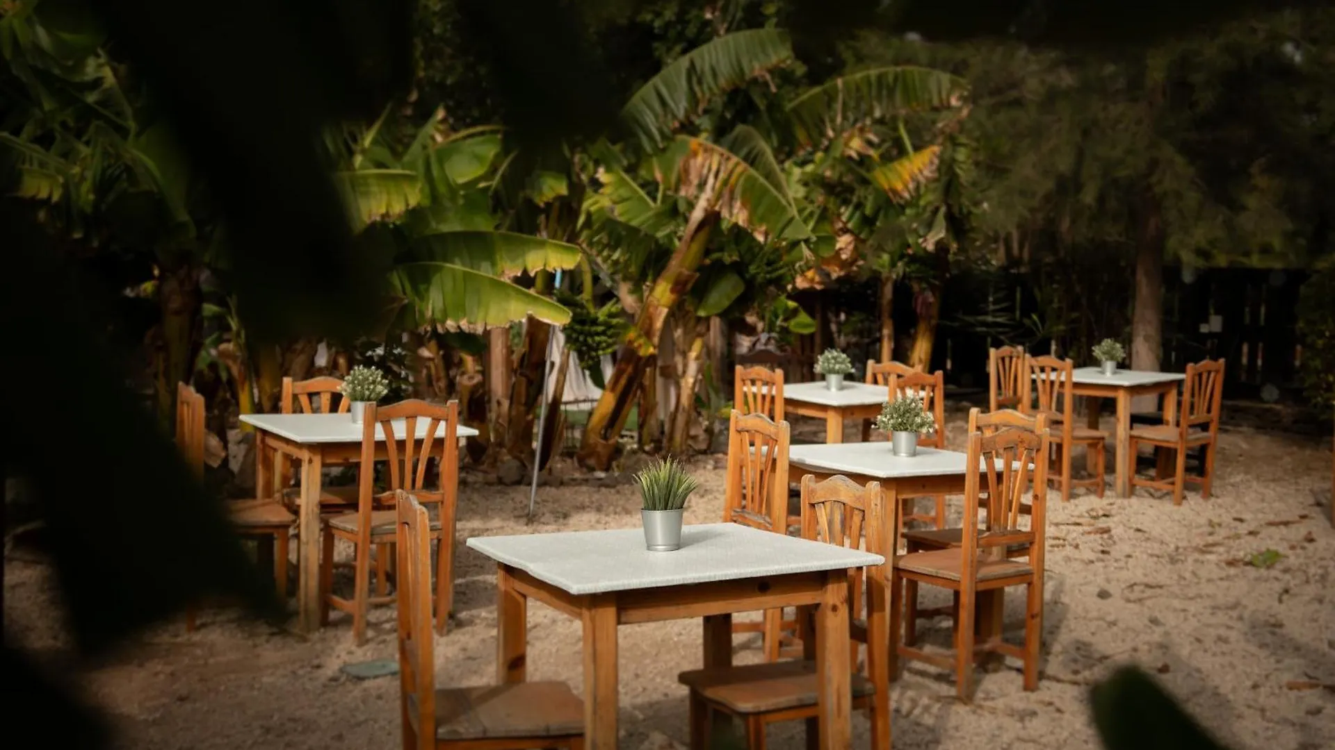 Hotel Privado Serendipia Natural Club Exclusive Buzanada