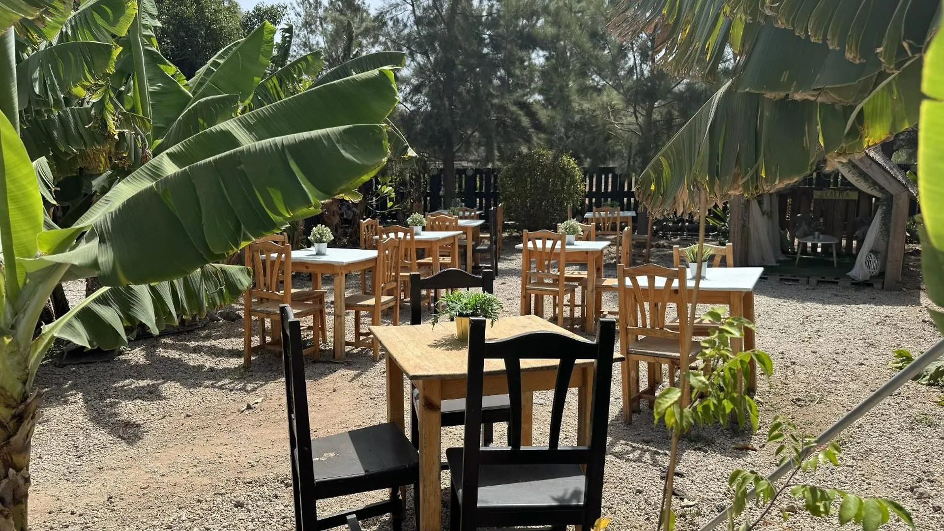 Hotel Privado Serendipia Natural Club Exclusive Buzanada