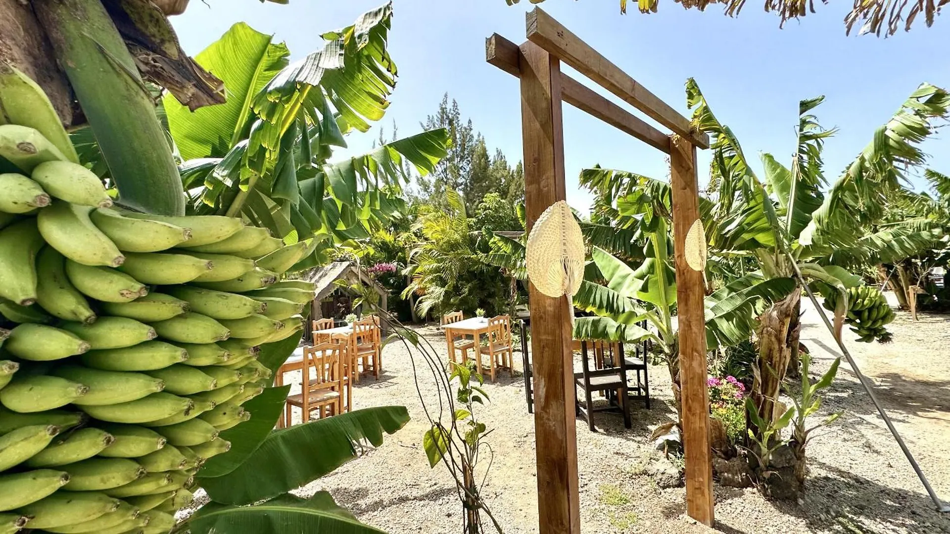 Hotel Privado Serendipia Natural Club Exclusive Buzanada 0*,  Spain
